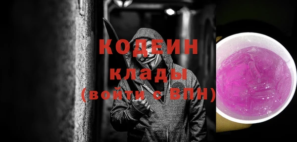 молекула духа Вяземский