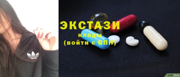 молекула духа Вяземский