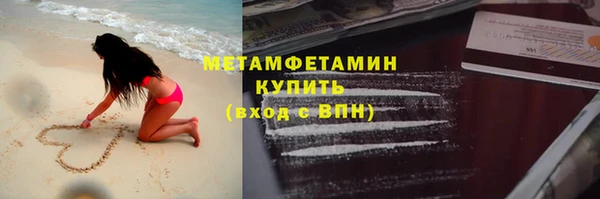 молекула духа Вяземский