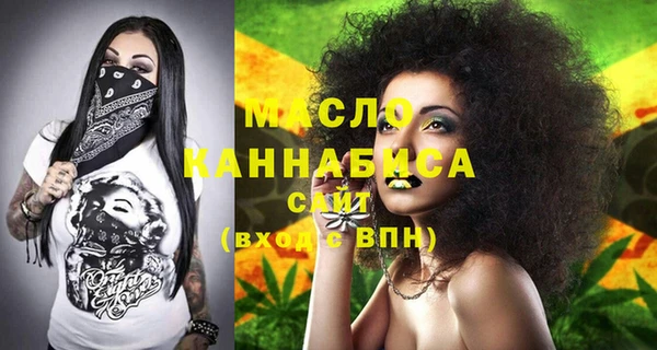 молекула духа Вяземский