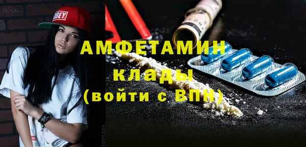 молекула духа Вяземский