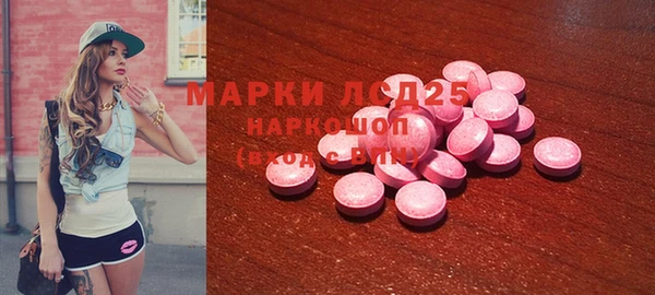 молекула духа Вяземский